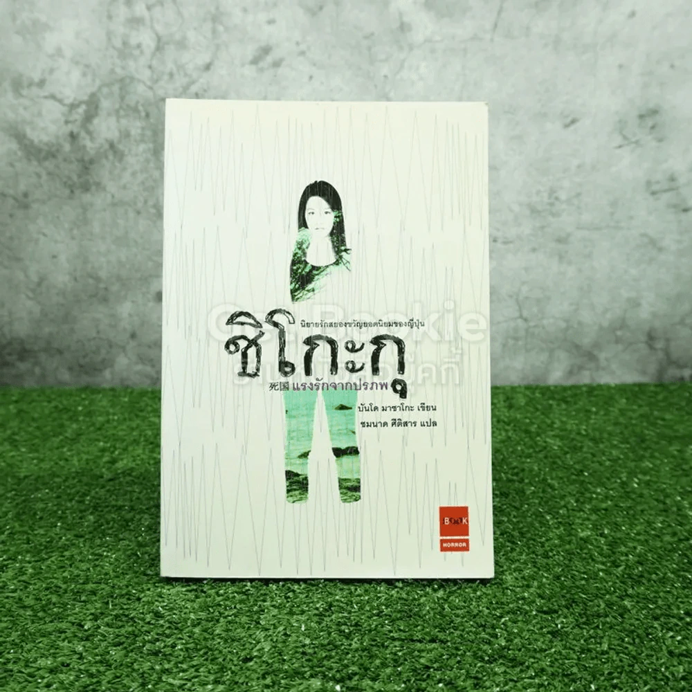 ชิโกะกุ แรงรักจากปรภพ รูปที่ 1