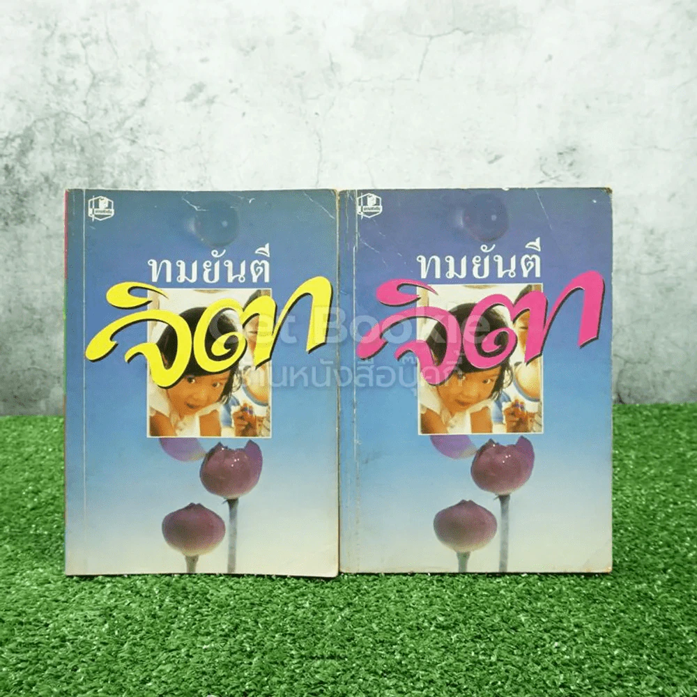จิตา 2 เล่มจบ - ทมยันตี รูปที่ 1