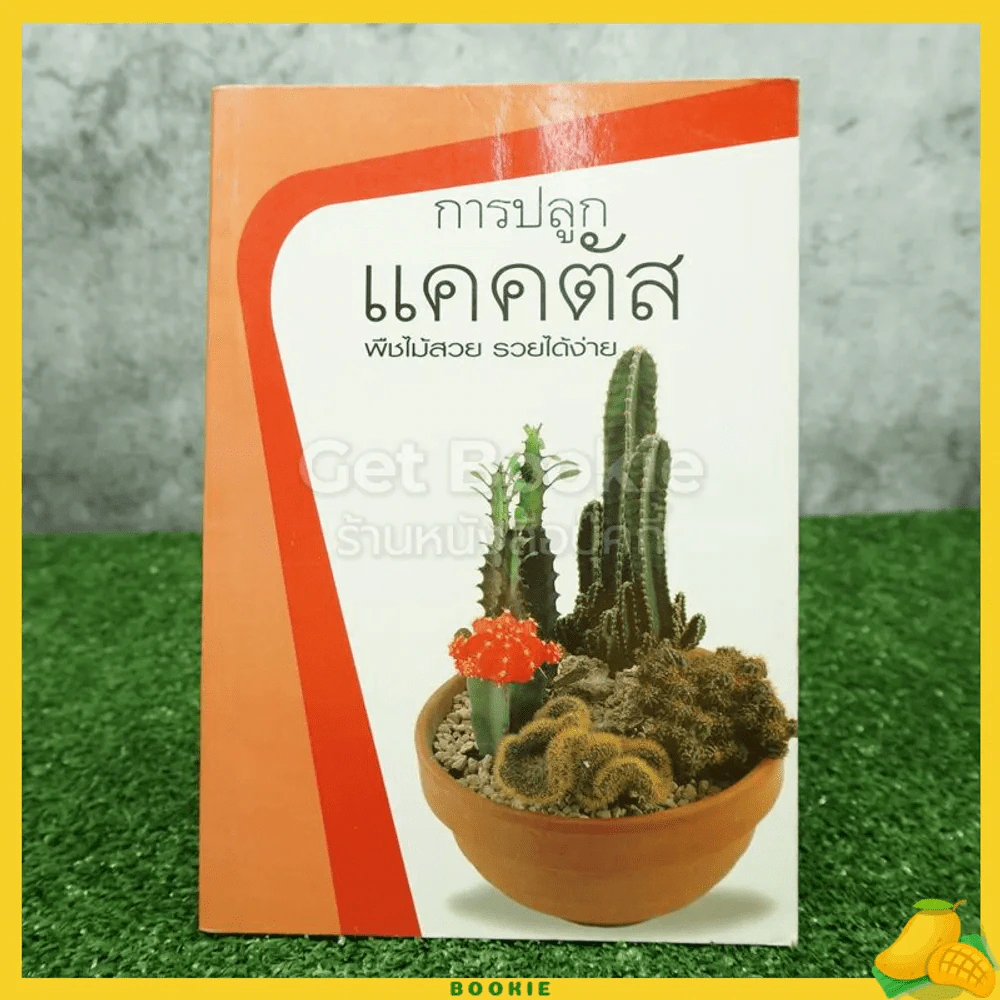 การปลูกแคคตัส - พฤษภะ ณ อยุธยา รูปที่ 1