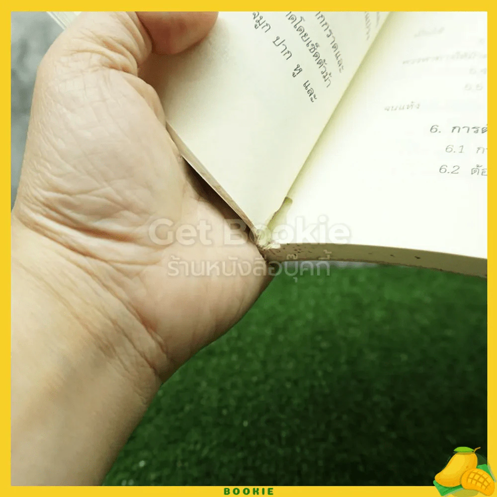 ขี่ม้า รวมกฎ กติกา และพื้นฐานการเล่น รูปที่ 4
