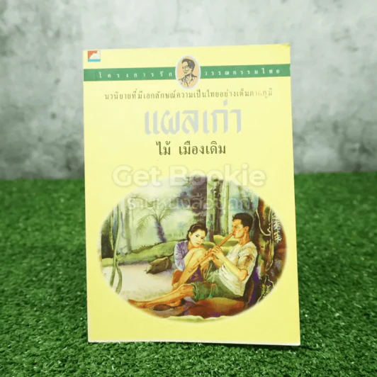 แผลเก่า - ไม้ เมืองเดิม รูปที่ 1