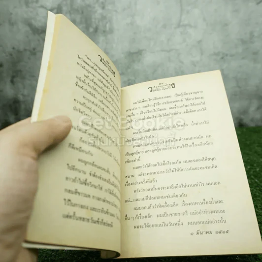 เรื่องของน้ำพุ - วงศ์เมือง นันทขว้าง (มีรอยขีดเส้นใต้) รูปที่ 3