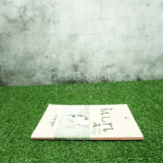 เรื่องของน้ำพุ - วงศ์เมือง นันทขว้าง (มีรอยขีดเส้นใต้) รูปที่ 2