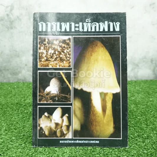 การเพาะเห็ดฟาง รูปที่ 1
