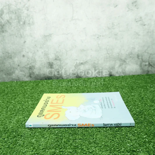 ดูแลคนอย่าง SMEs - ไพศาล เตมีย์ รูปที่ 2