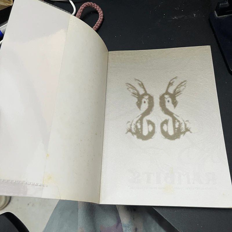 Rambits แรมบิทส์ รูปที่ 7