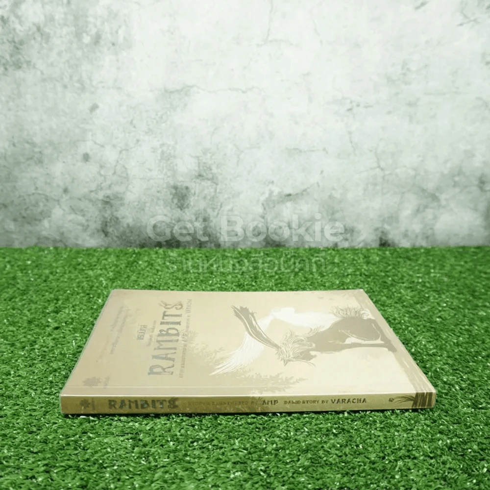 Rambits แรมบิทส์ รูปที่ 2