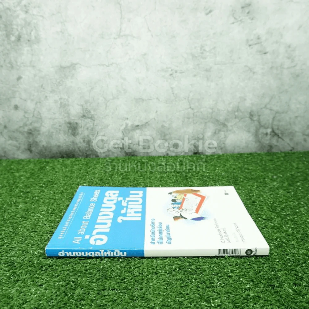 อ่านงบดุลให้เป็น All about Balance Sheets รูปที่ 2
