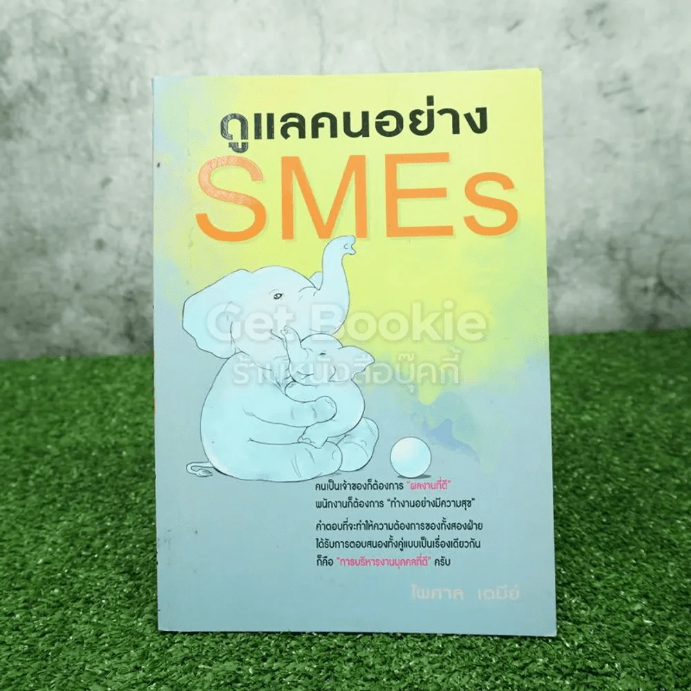 ดูแลคนอย่าง SMEs - ไพศาล เตมีย์ รูปที่ 1
