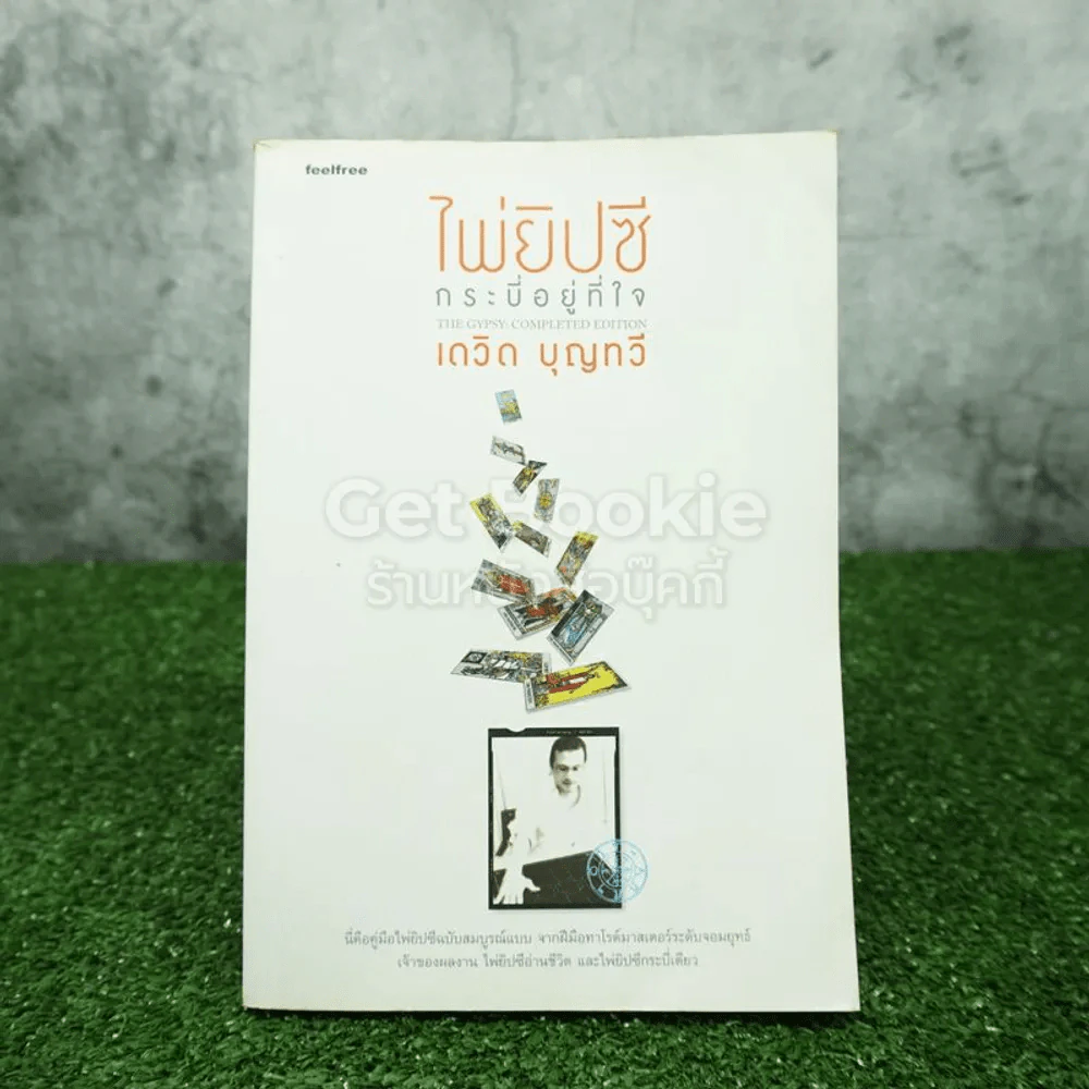 ไพ่ยิปซี กระบี่อยู่ที่ใจ - เดวิด บุญทวี รูปที่ 1