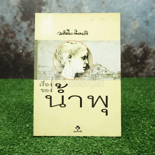 เรื่องของน้ำพุ - วงศ์เมือง นันทขว้าง รูปที่ 1