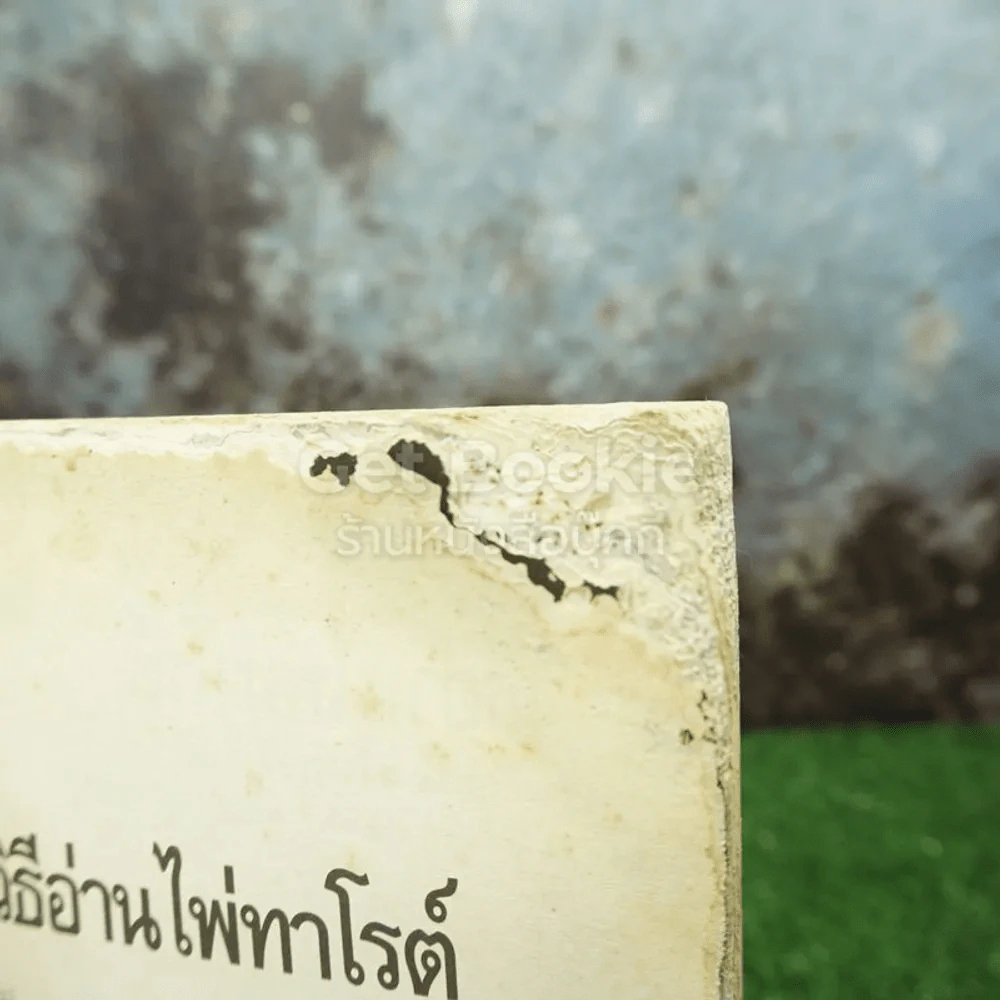 วิธีอ่านไพ่ทาโรต์ - สมลักษณ์ สว่างโรจน์ แปล (สภาพชำรุด อ่านได้ปกติ) รูปที่ 5