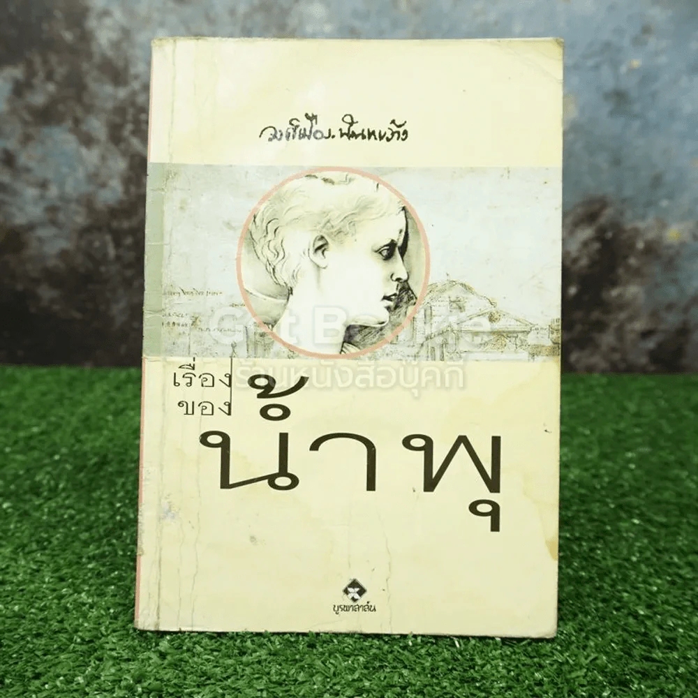 เรื่องของน้ำพุ - วงศ์เมือง นันทขว้าง (มีคราบน้ำ) รูปที่ 1