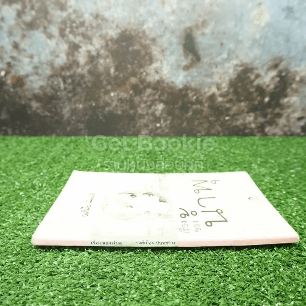 เรื่องของน้ำพุ - วงศ์เมือง นันทขว้าง (มีคราบน้ำ) รูปที่ 2