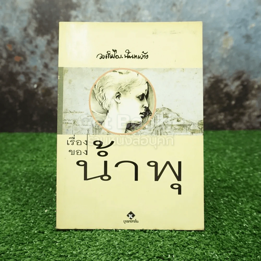เรื่องของน้ำพุ - วงศ์เมือง นันทขว้าง รูปที่ 1