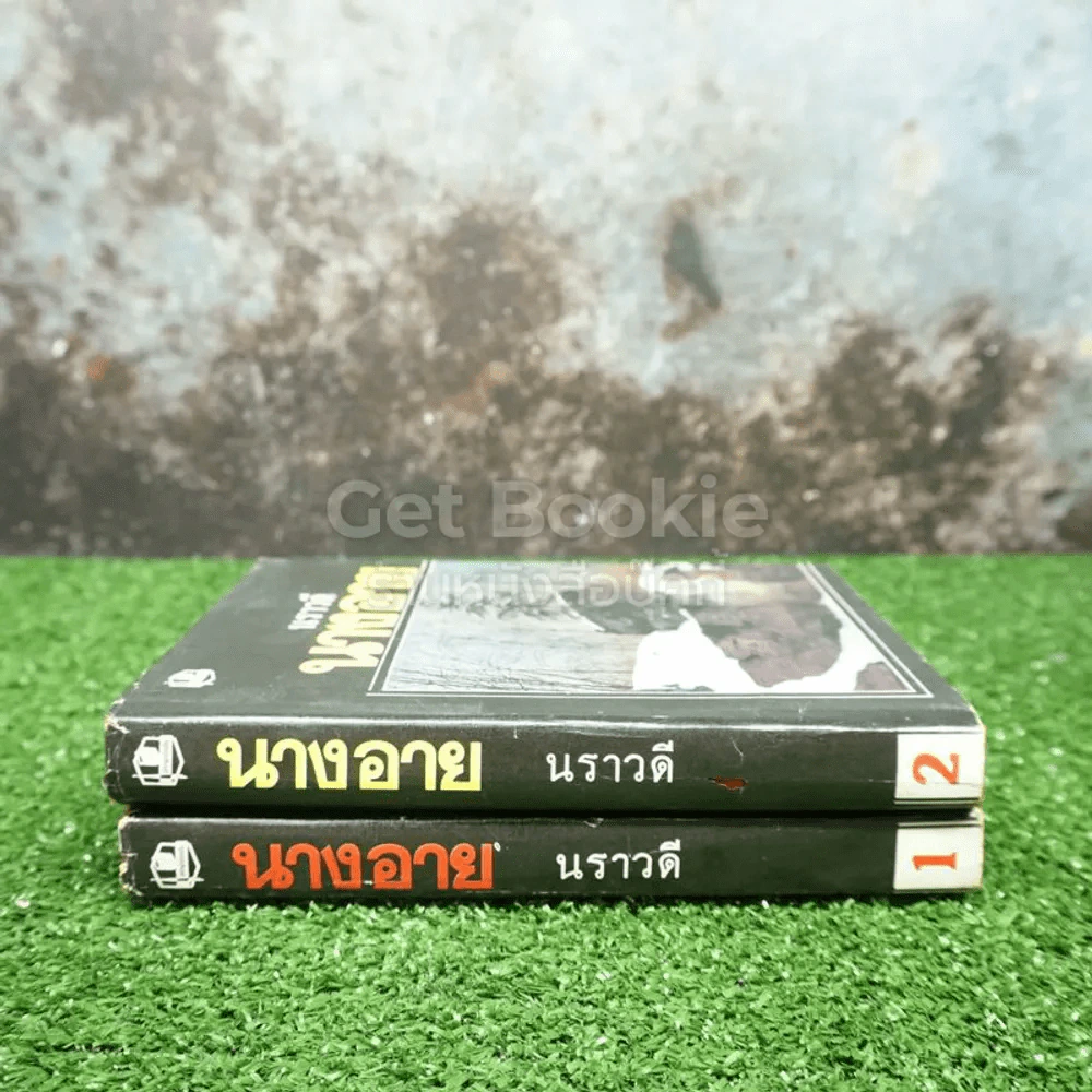 นางอาย 2 เล่มจบ - นราวดี รูปที่ 2