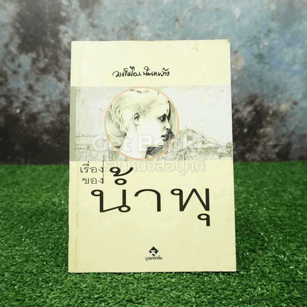 เรื่องของน้ำพุ - วงศ์เมือง นันทขว้าง รูปที่ 1