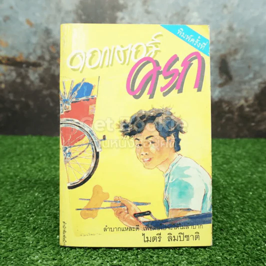 ดอกเตอร์ครก - ไมตรี ลิมปิชาติ รูปที่ 1