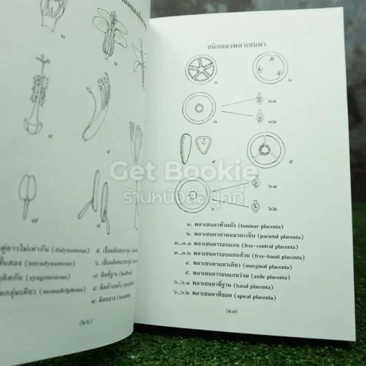 ศัพท์พฤกษศาสตร์ อังกฤษ-ไทย ฉบับราชบัณฑิตยสถาน รูปที่ 6