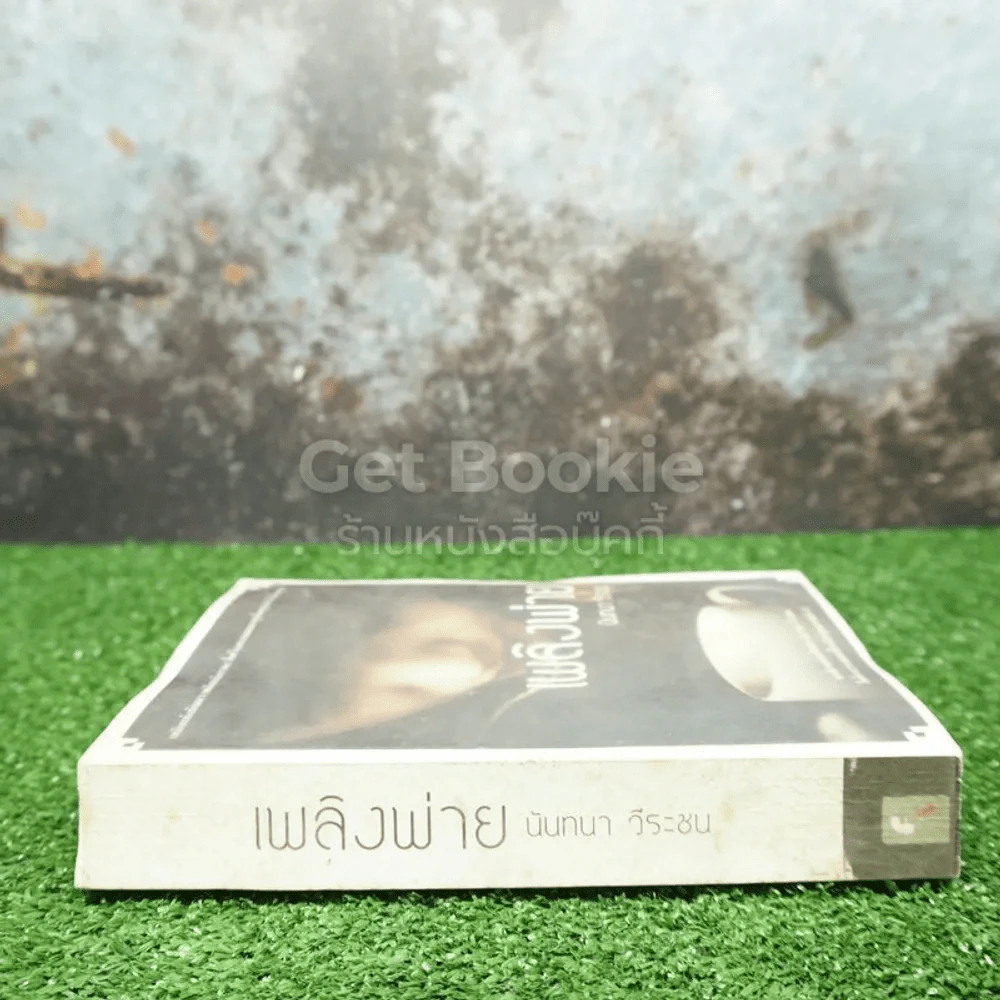 เพลิงพ่าย - นันทนา วีระชน รูปที่ 2