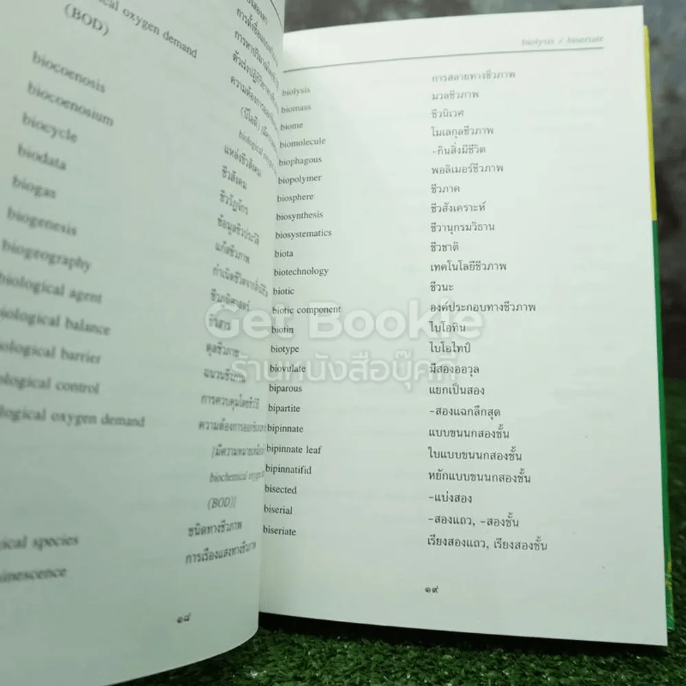 ศัพท์พฤกษศาสตร์ อังกฤษ-ไทย ฉบับราชบัณฑิตยสถาน รูปที่ 7