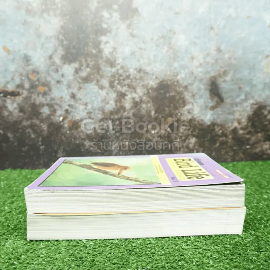 ชีวิตนก จากบันทึกและความทรงจำ Bird Life From Records & Remembrance Vol.1-2 - สุธี ศุภรัฐวิกร รูปที่ 4