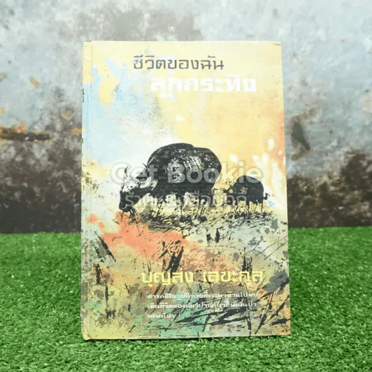 ชีวิตของฉันลูกกระทิง รูปที่ 1