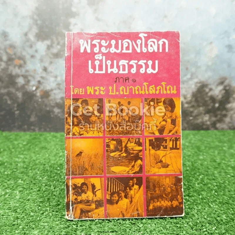 พระมองโลกเป็นธรรม ภาค 1 - พระป.ญาณโสภโณ รูปที่ 1