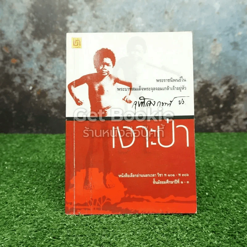 เงาะป่า รูปที่ 1