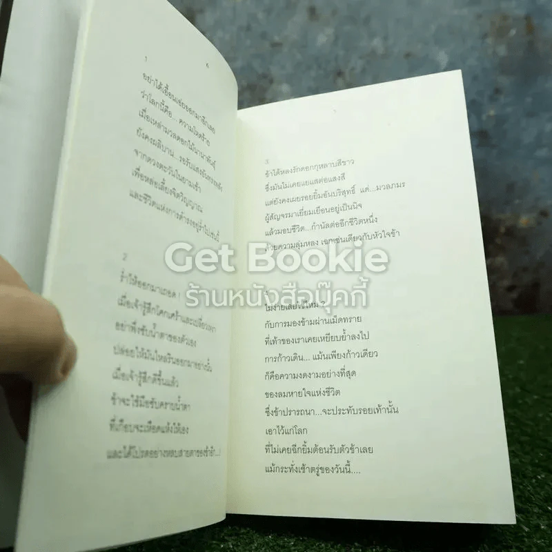ดอกไม้แห่งกาลเวลา Flower of Time รูปที่ 5