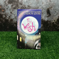 The Wish รูปที่ 1
