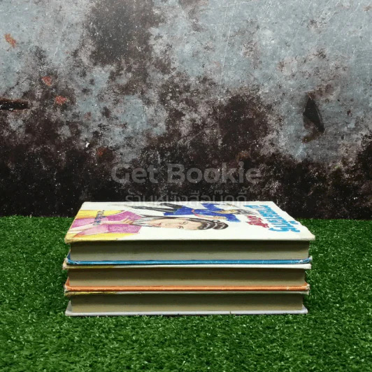 อาณาจักรนักสู้ 3 เล่มจบ รูปที่ 3