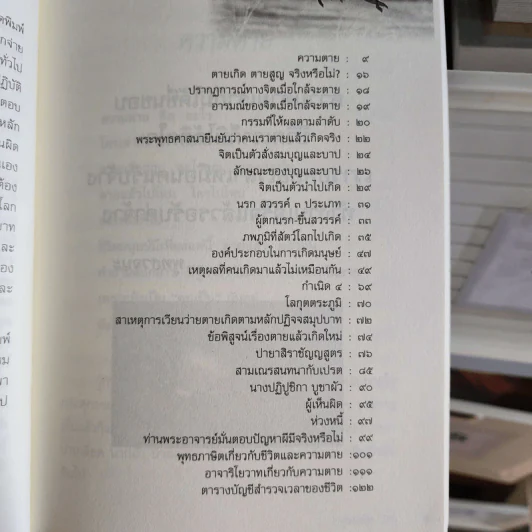 ตายแล้วไปไหน รูปที่ 11