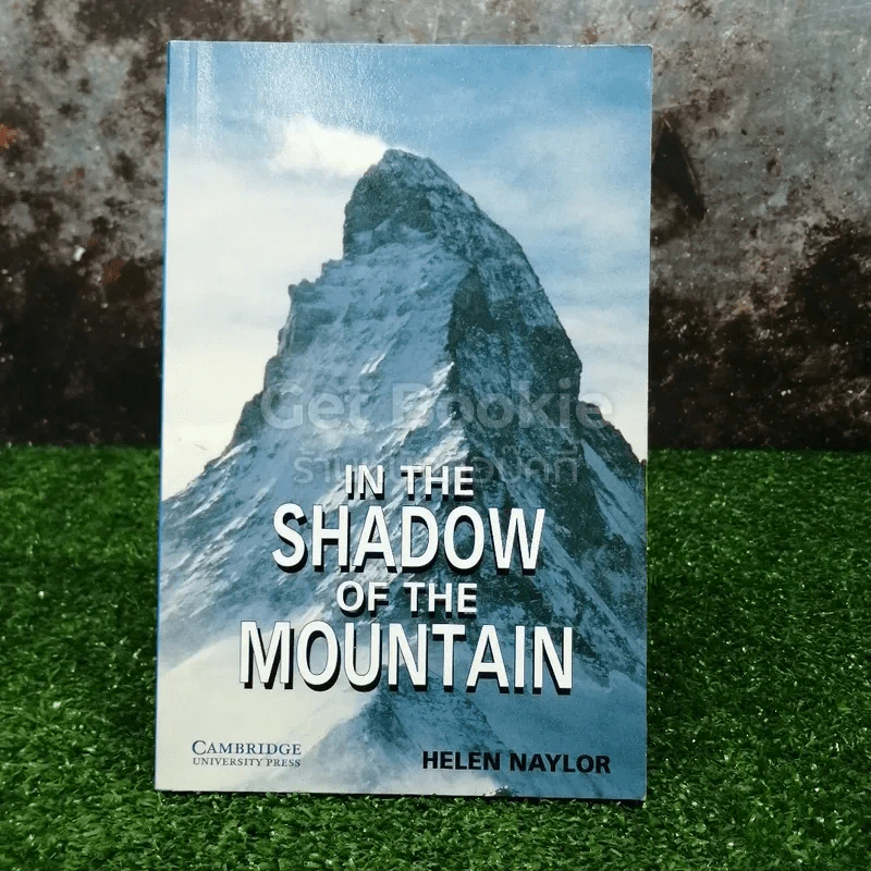 IN THE SHADOW OF THE MOUNTAIN รูปที่ 1