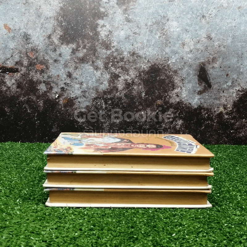 ดรรชนีสังหาร 3 เล่มจบ รูปที่ 3