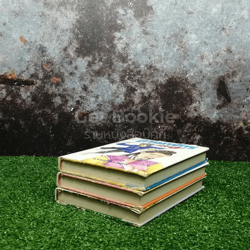 อาณาจักรนักสู้ 3 เล่มจบ รูปที่ 4