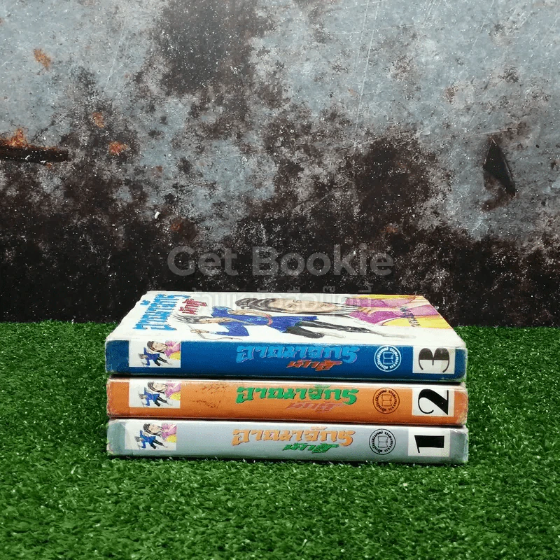 อาณาจักรนักสู้ 3 เล่มจบ รูปที่ 2