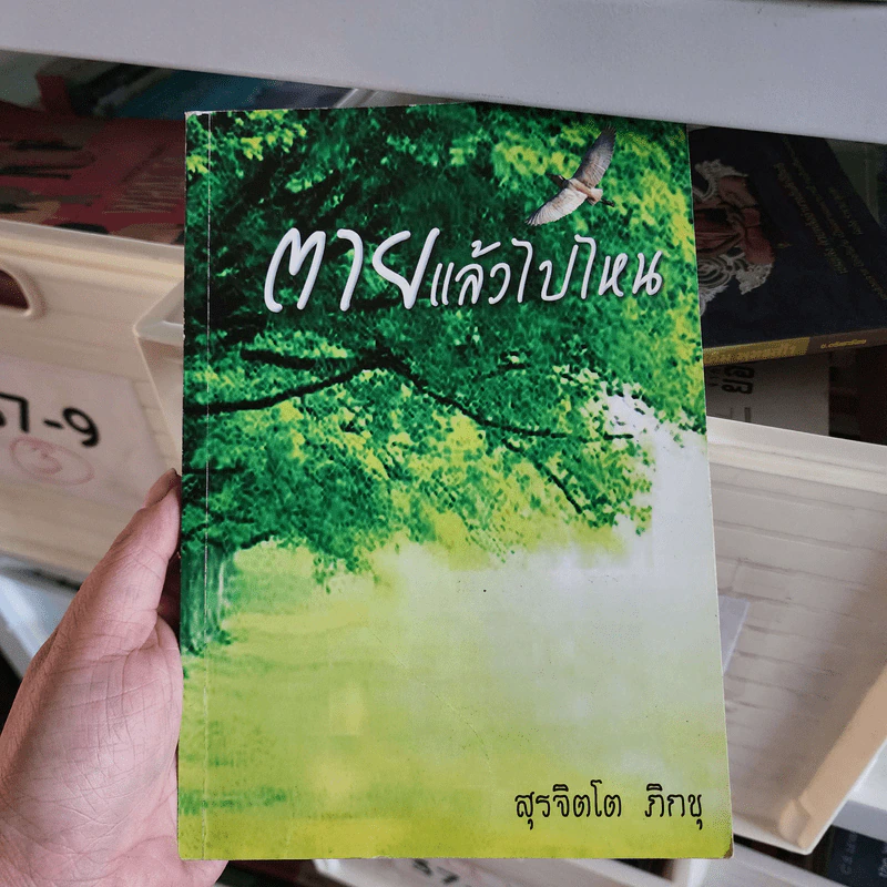 ตายแล้วไปไหน รูปที่ 1