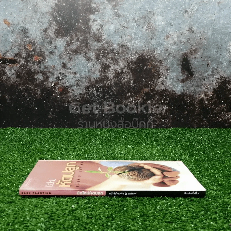 มือใหม่หัดปลูก Easy Planting รูปที่ 2