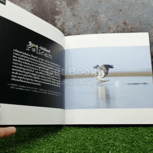 Photographic Art of Thai Bird ความในภาพนก 2 เล่ม รูปที่ 5