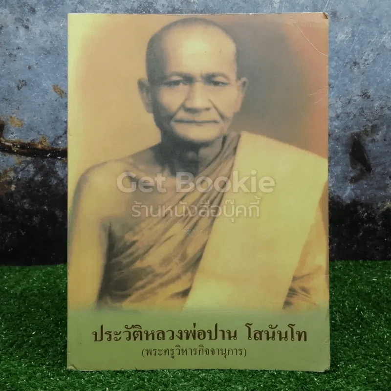 ประวัติหลวงพ่อปาน โสนันโท (พระครูวิหารกิจจานุการ) รูปที่ 1