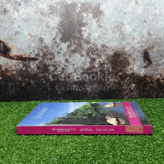 Collection & House ฉบับพิเศษ บ้านริมน้ำ รูปที่ 2