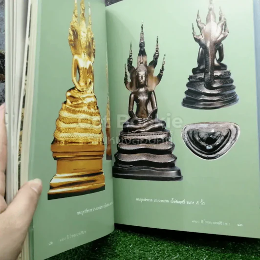 120 ปี โรงพยาบาลศิริราช รูปที่ 6