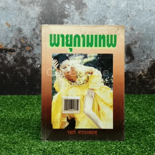 พายุกามเทพ รูปที่ 1