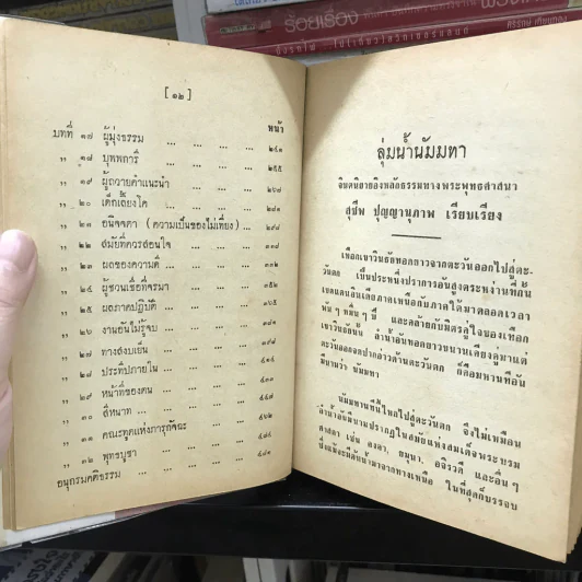 ลุ่มน้ำนัมมทา รูปที่ 18