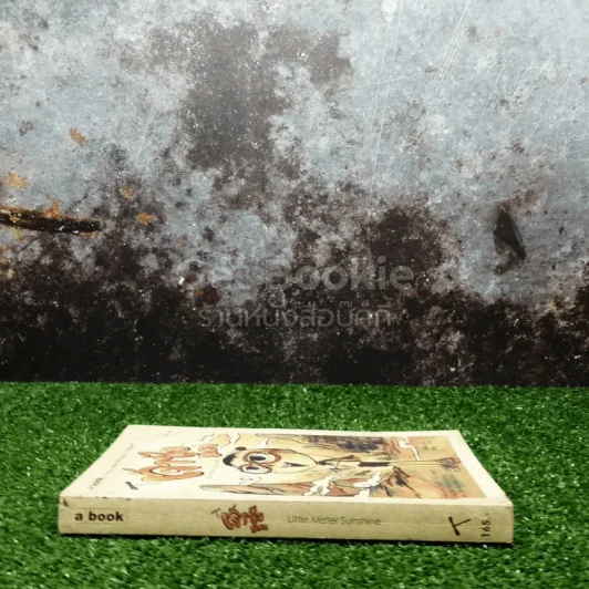 เจ้าชัยน้อย - ใบพัด รูปที่ 2