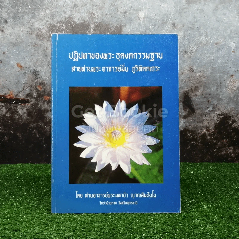 ปฏิปทาของพระธุดงคกรรมฐาน สายท่านพระอาจารย์มั่น ภูติทัตตเถระ รูปที่ 1