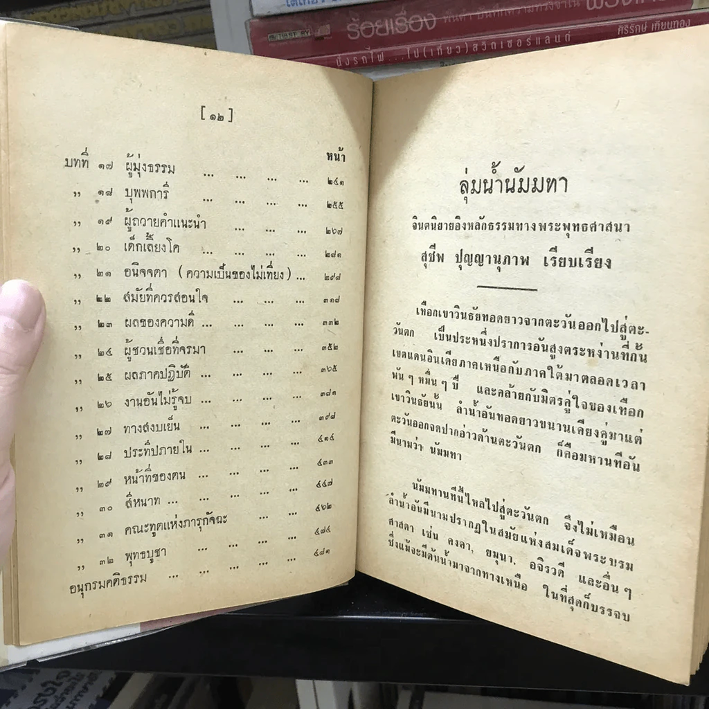 ลุ่มน้ำนัมมทา รูปที่ 18