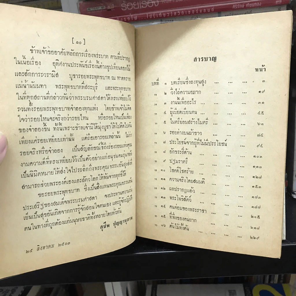 ลุ่มน้ำนัมมทา รูปที่ 17