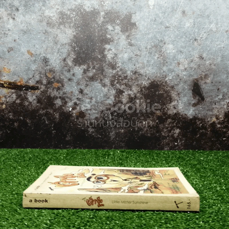 เจ้าชัยน้อย - ใบพัด รูปที่ 2